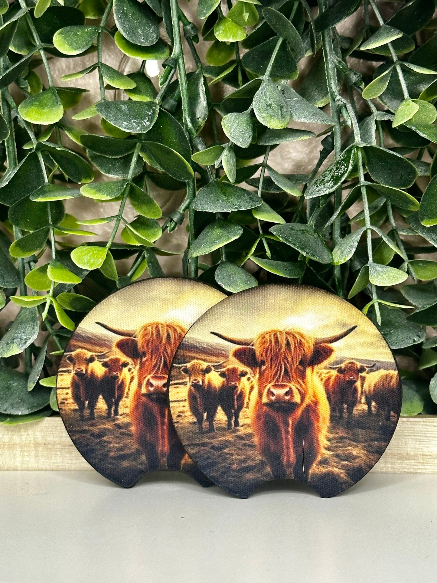 Highland Cows Car Coasters